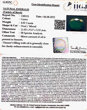 4.01/CT Natural Panna Stone with Govt. Lab Certified (6771)